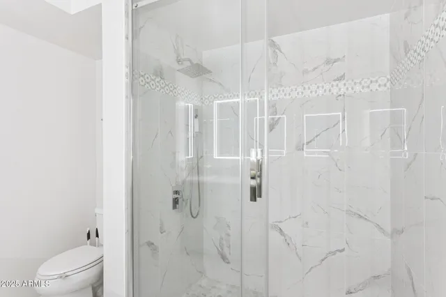 a bathroom with a shower and toilet