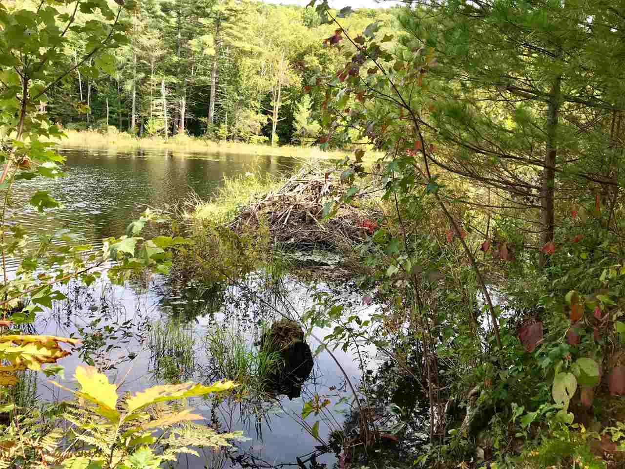 0 County Road, Unit MAP 2 LOT 5 Hillsborough, NH 03244 - Photo 3 of 11 Gallery Image 3
