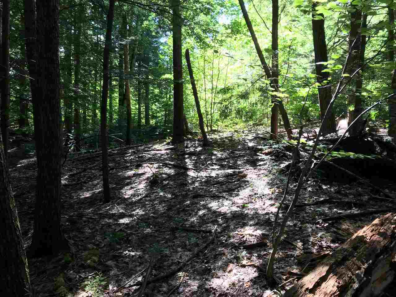 0 County Road, Unit MAP 2 LOT 5 Hillsborough, NH 03244 - Photo 10 of 11 Gallery Image 10