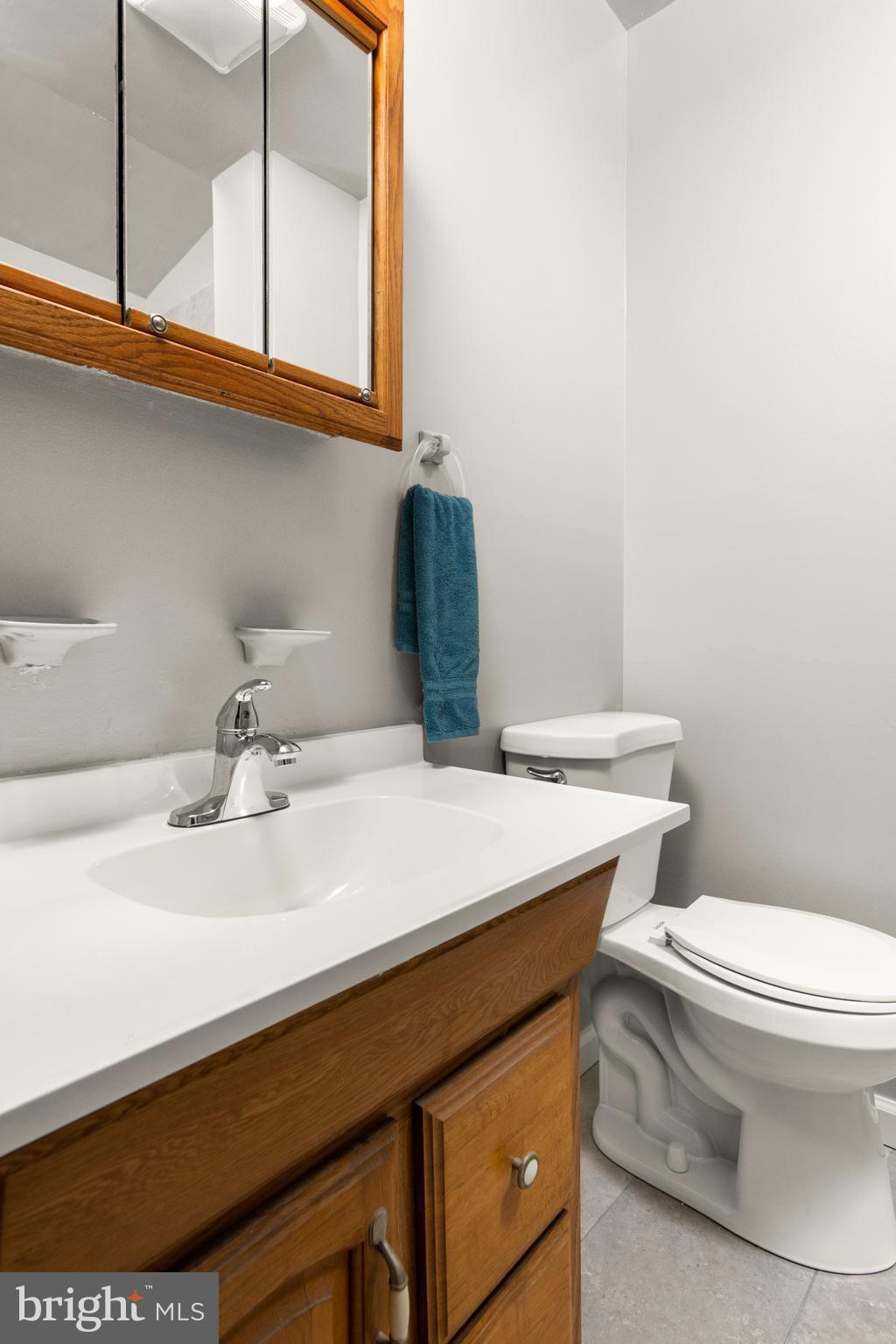 1530 Manor View Road Davidsonville, MD 21035 - Photo 16 of 29 Master Bath