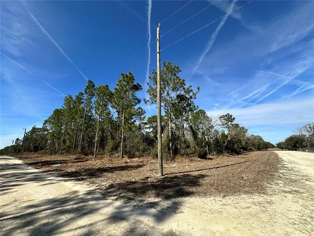 $23,000 | Tbd Northeast 19 Street, Williston, FL 32696