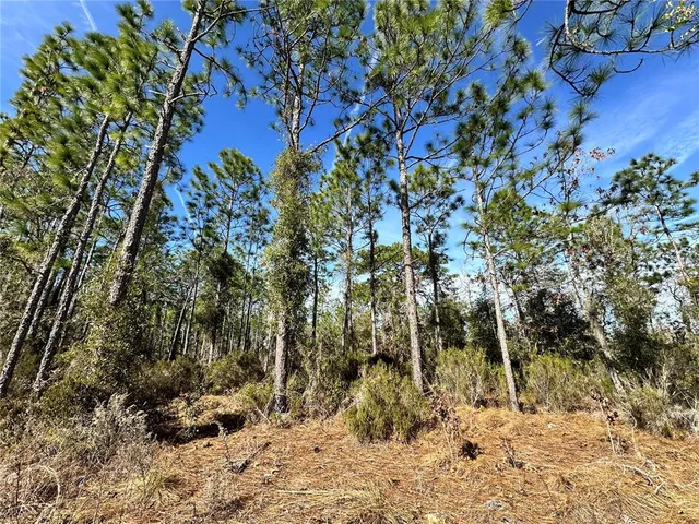 $23,000 | Tbd Northeast 19 Street, Williston, FL 32696