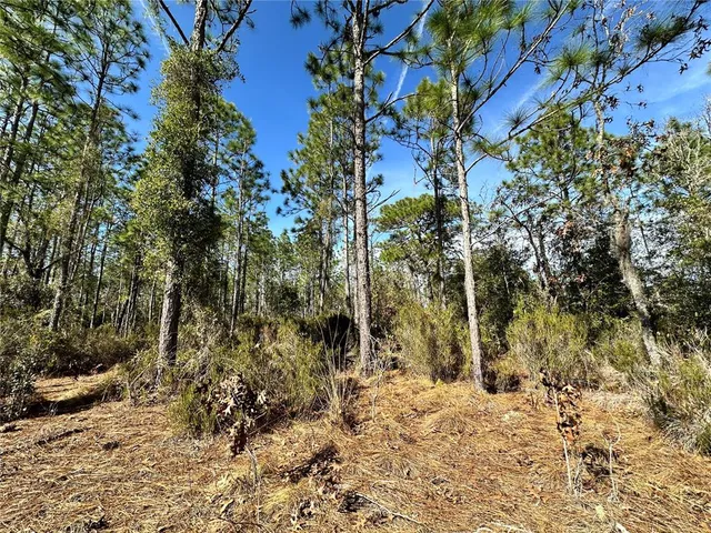 $23,000 | Tbd Northeast 19 Street, Williston, FL 32696