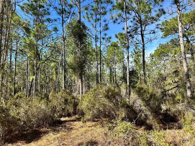 $23,000 | Tbd Northeast 19 Street, Williston, FL 32696