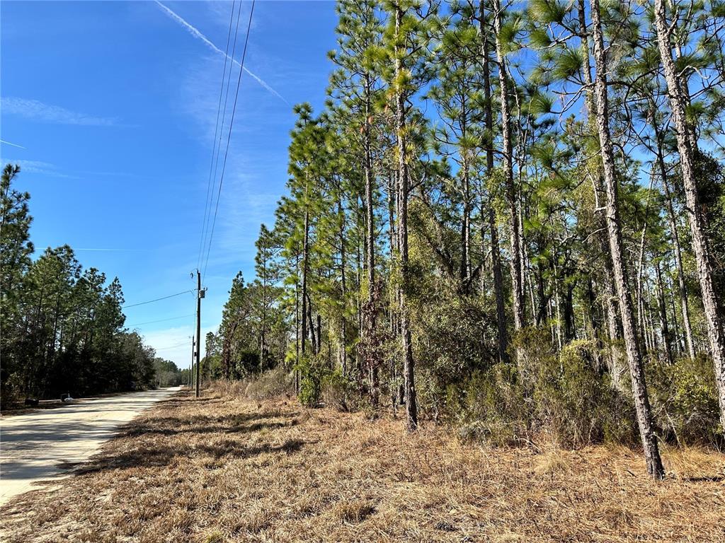 Tbd Northeast 19 Street Williston, FL 32696 - Photo 6 of 9