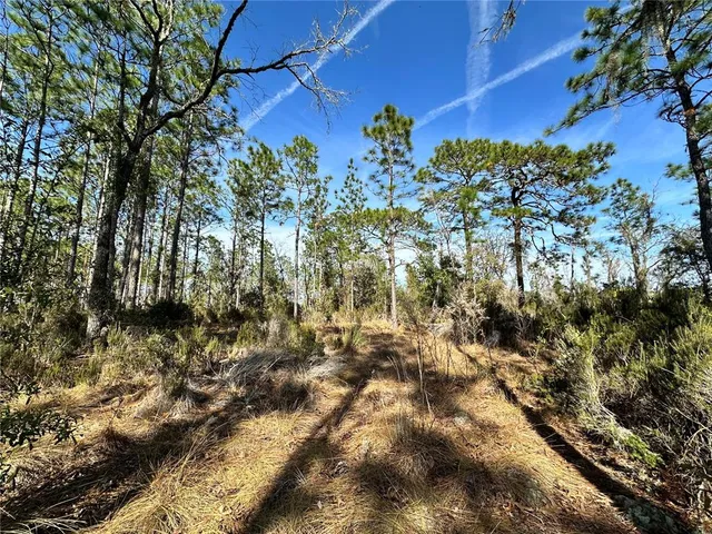$23,000 | Tbd Northeast 19 Street, Williston, FL 32696
