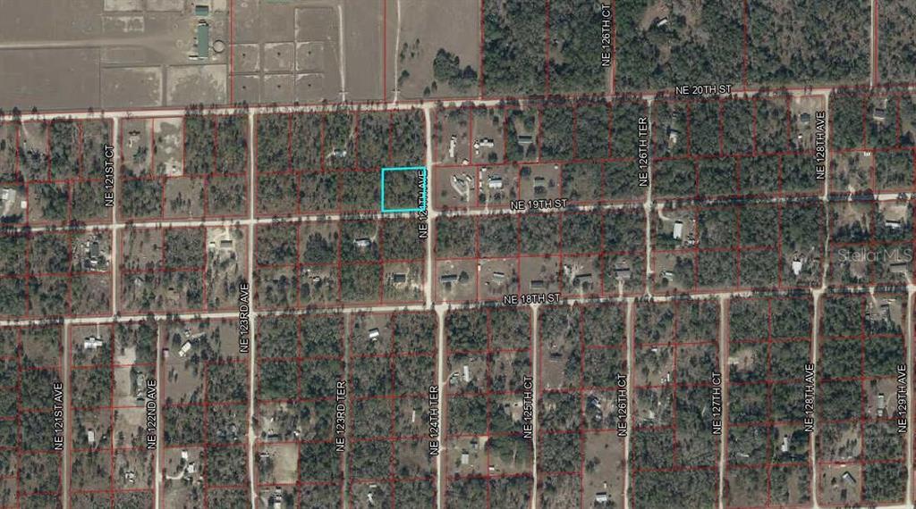 Tbd Northeast 19 Street Williston, FL 32696 - Photo 9 of 9