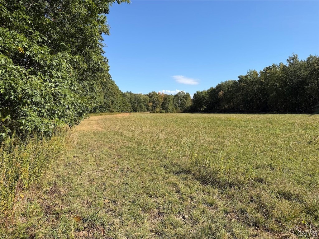 4758 Brown Road Conewango Valley, NY 14726 - Photo 44 of 50 Gallery Image 44