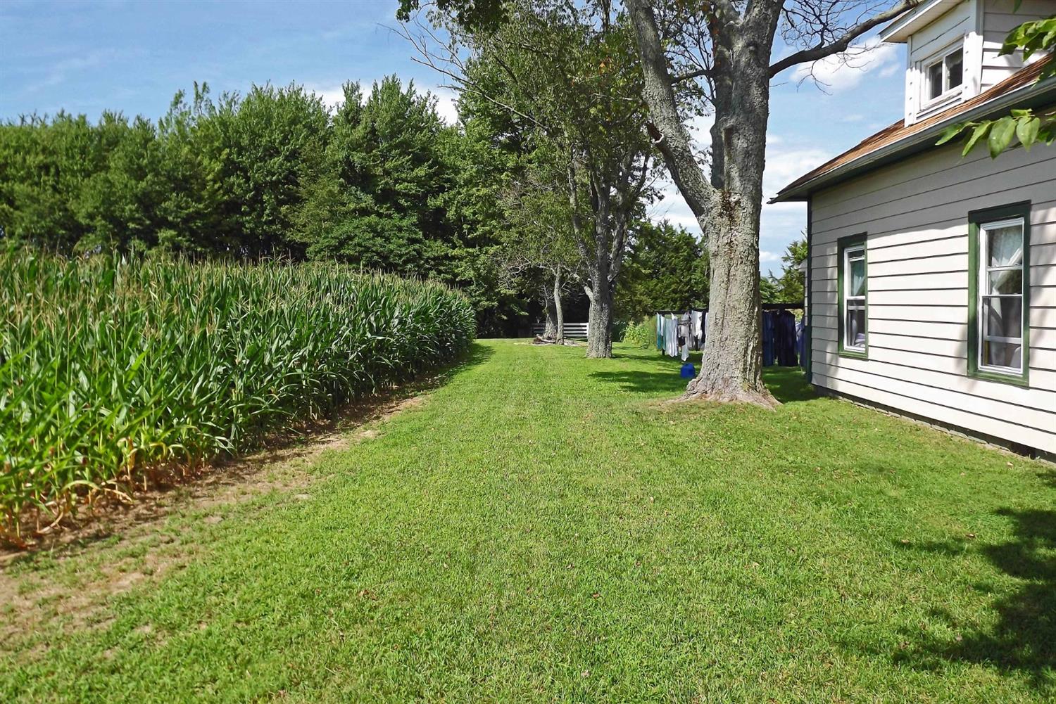 10461 Elam Road Vevay, IN 47043 - Photo 7 of 68