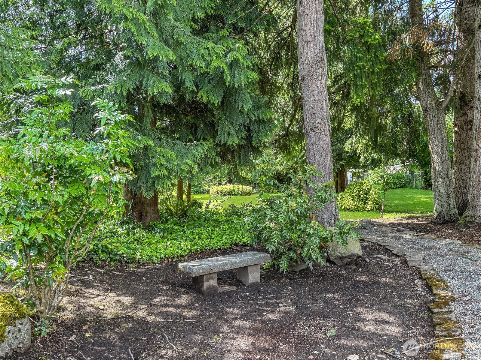 3305 207th Place Southeast Bothell, WA 98012 - Photo 22 of 23 a view of a garden with trees
