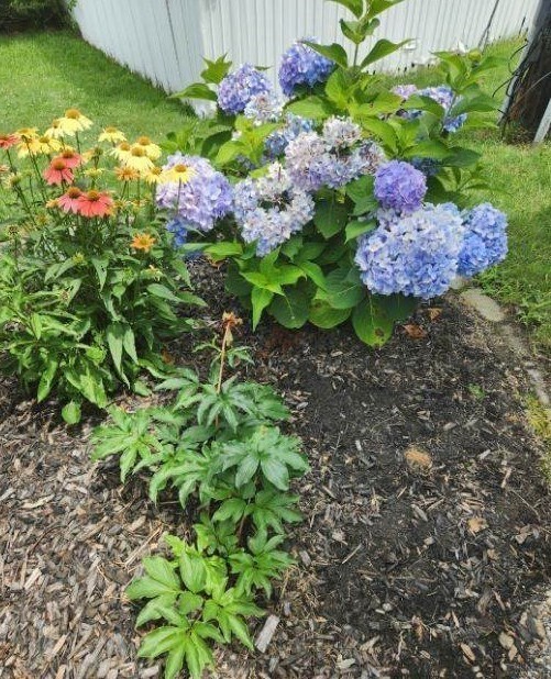 43 Amos Way Wareham, MA 02558 - Photo 22 of 34