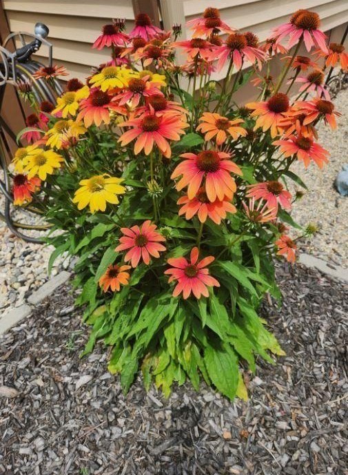 43 Amos Way Wareham, MA 02558 - Photo 27 of 34