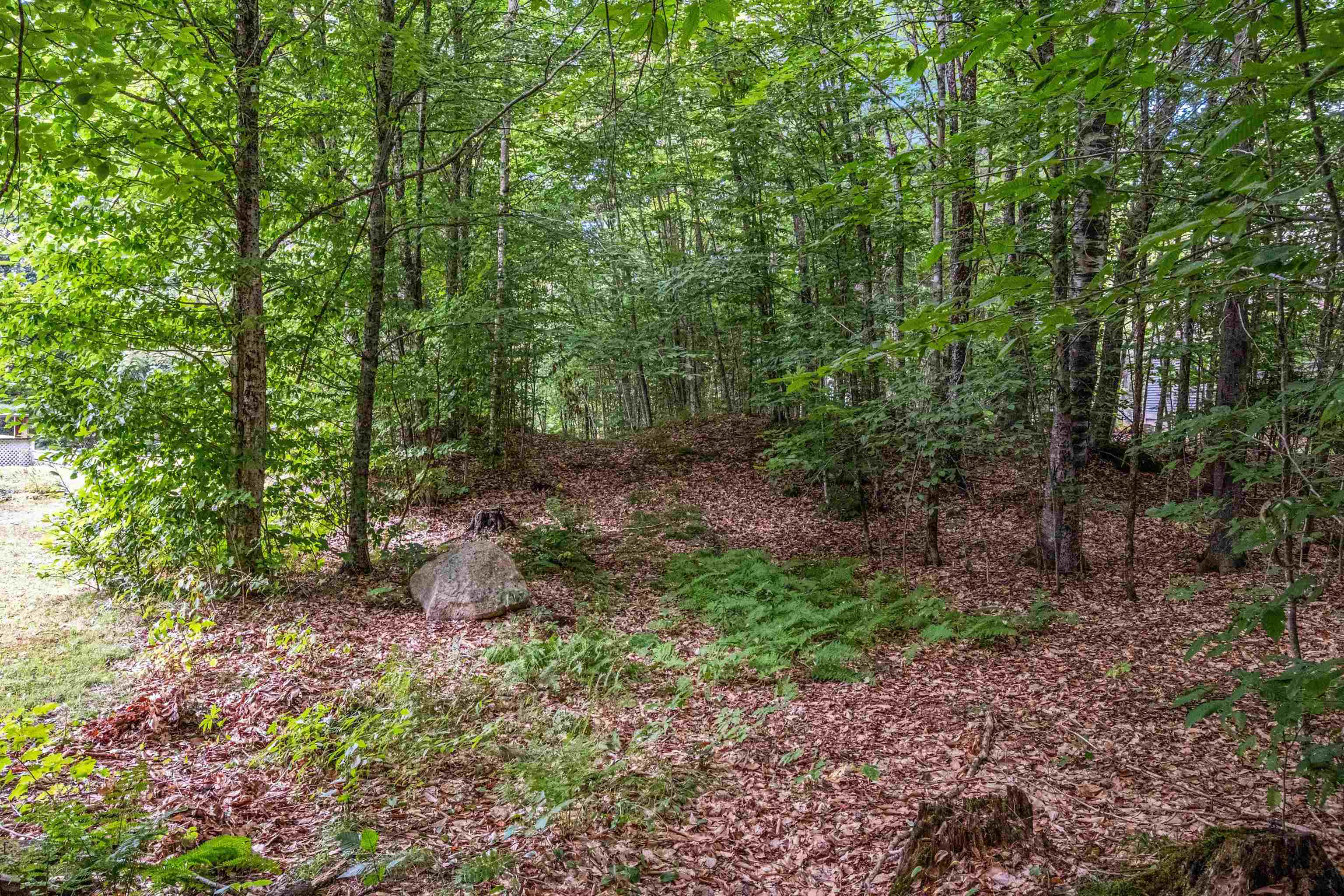 34 Foxglove Lane Franconia, NH 03580 - Photo 12 of 60