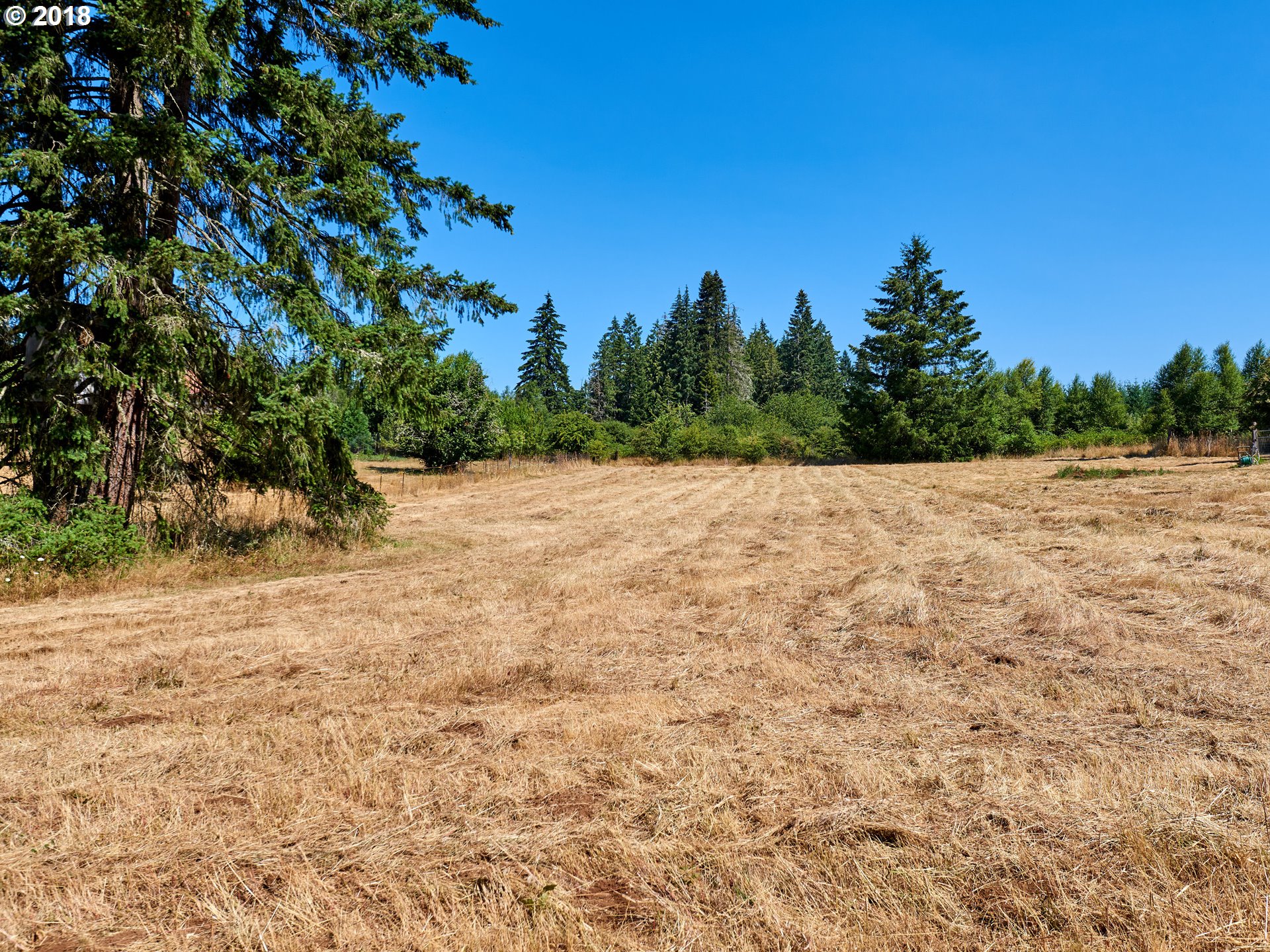 30906 South Oswalt Road Colton, OR 97017 - Photo 17 of 27 Pasture