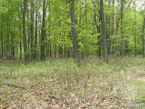 4575 North Loop Road Caseville, MI 48725 - Photo 6 of 9 extra lots
