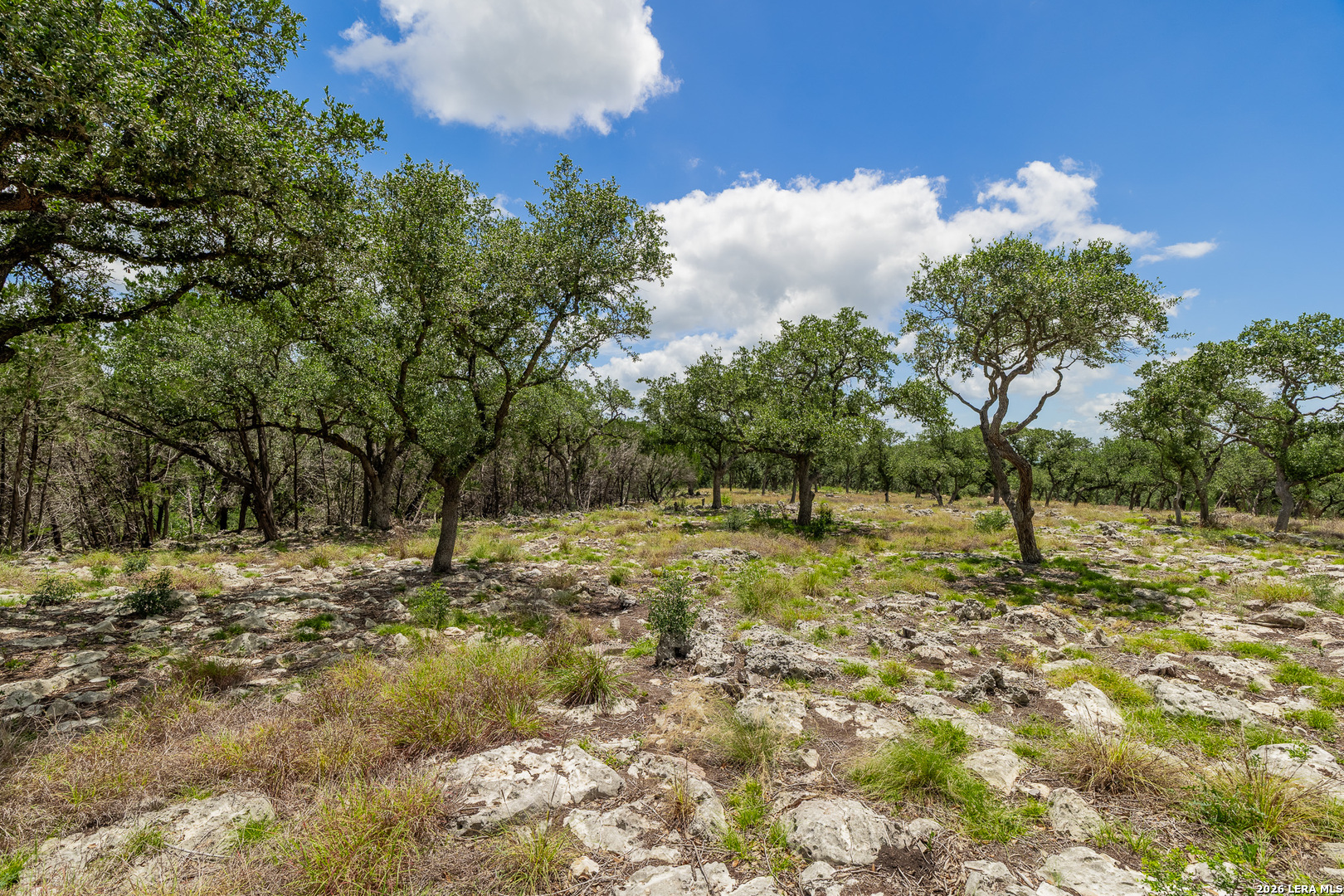 7 Hidden Springs Spring Branch, TX 78070 - Photo 29 of 44 Gallery Image 29
