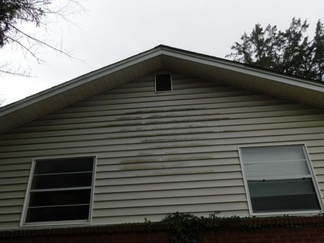 105 East Price Road Oak Ridge, TN 37830 - Photo 8 of 8 DSCN5035