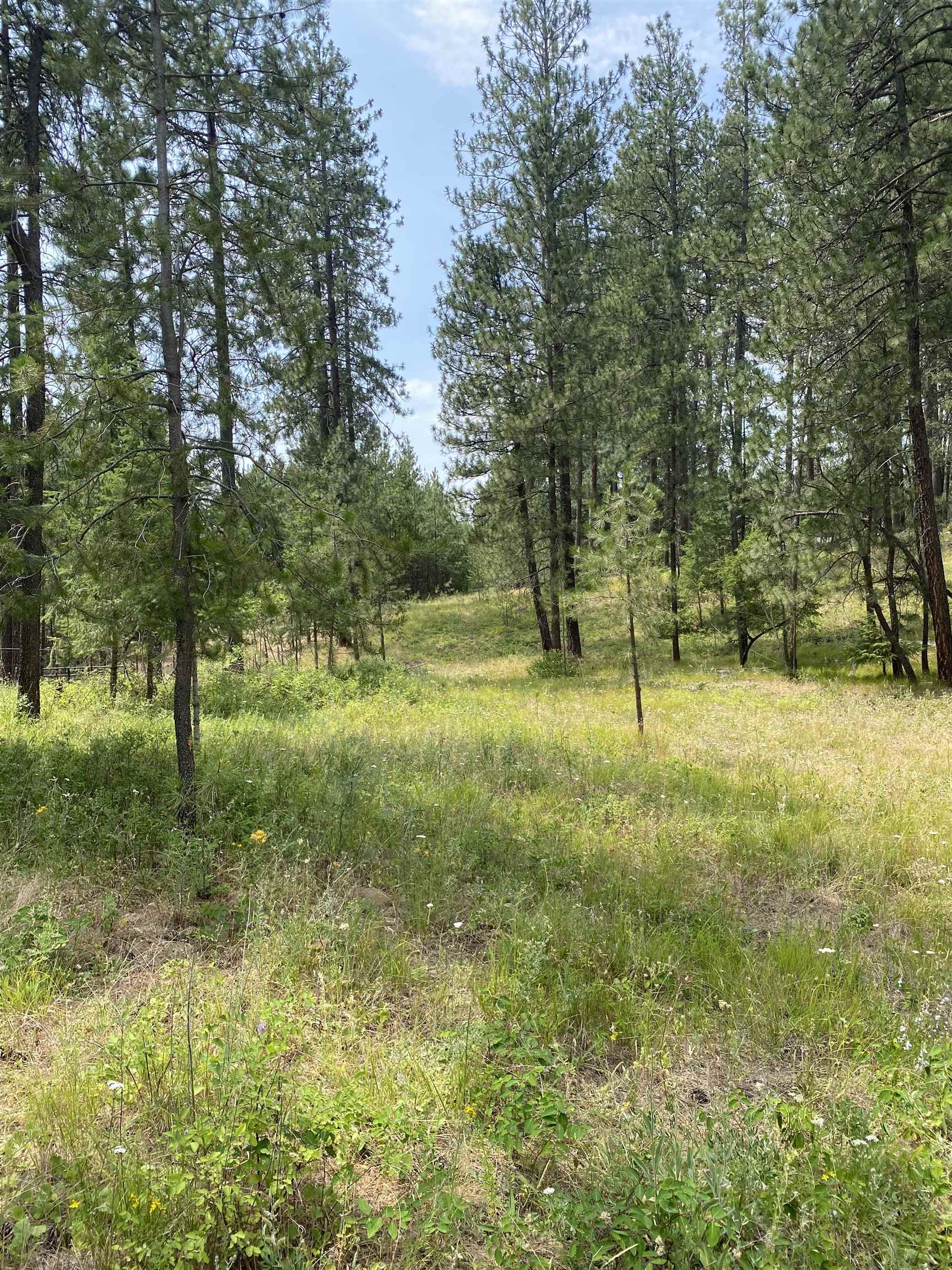 Elk-chattaroy East Rd Elk Wa 99009 Road Elk, WA 99009 - Photo 2 of 11