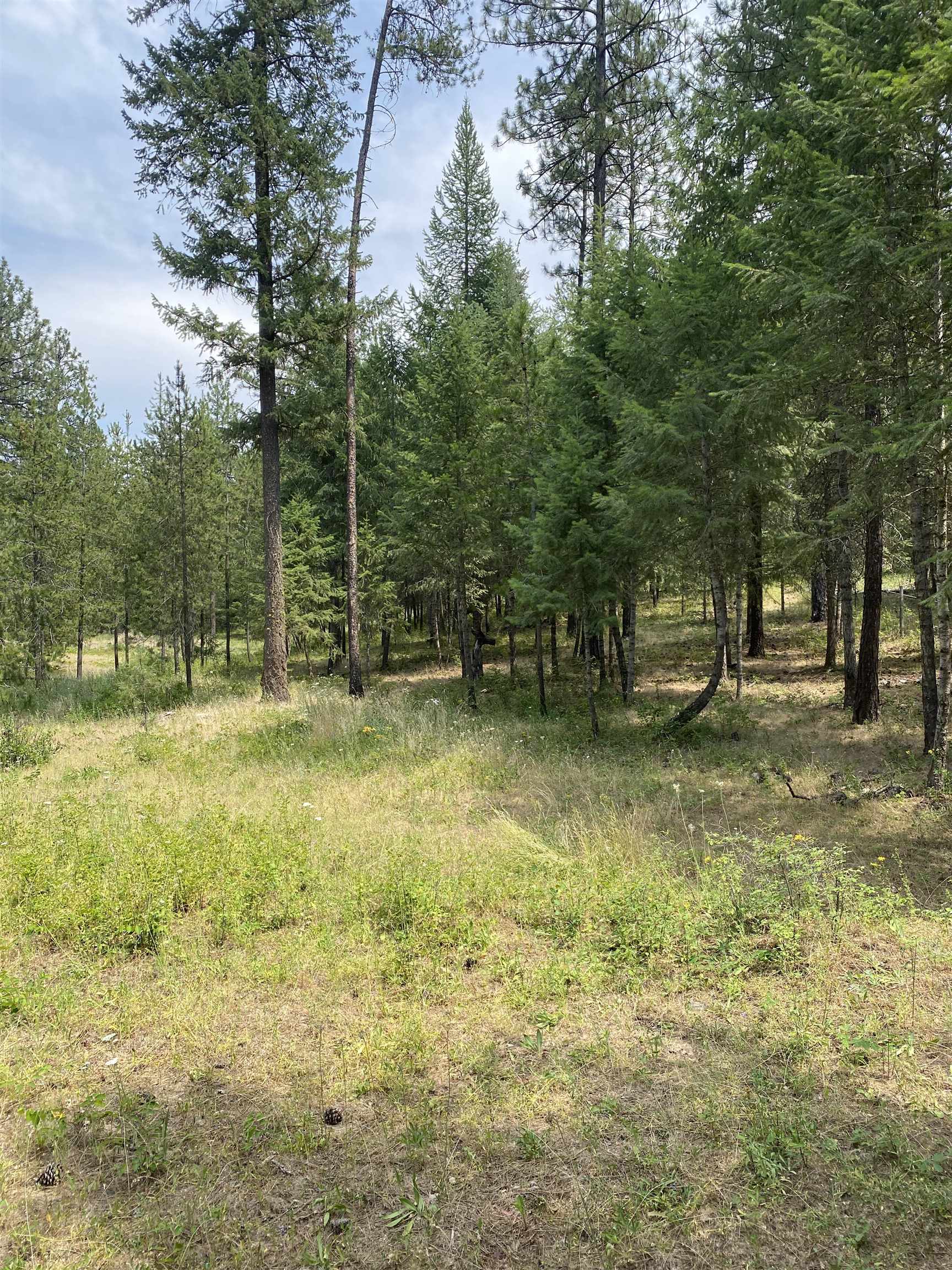 Elk-chattaroy East Rd Elk Wa 99009 Road Elk, WA 99009 - Photo 4 of 11