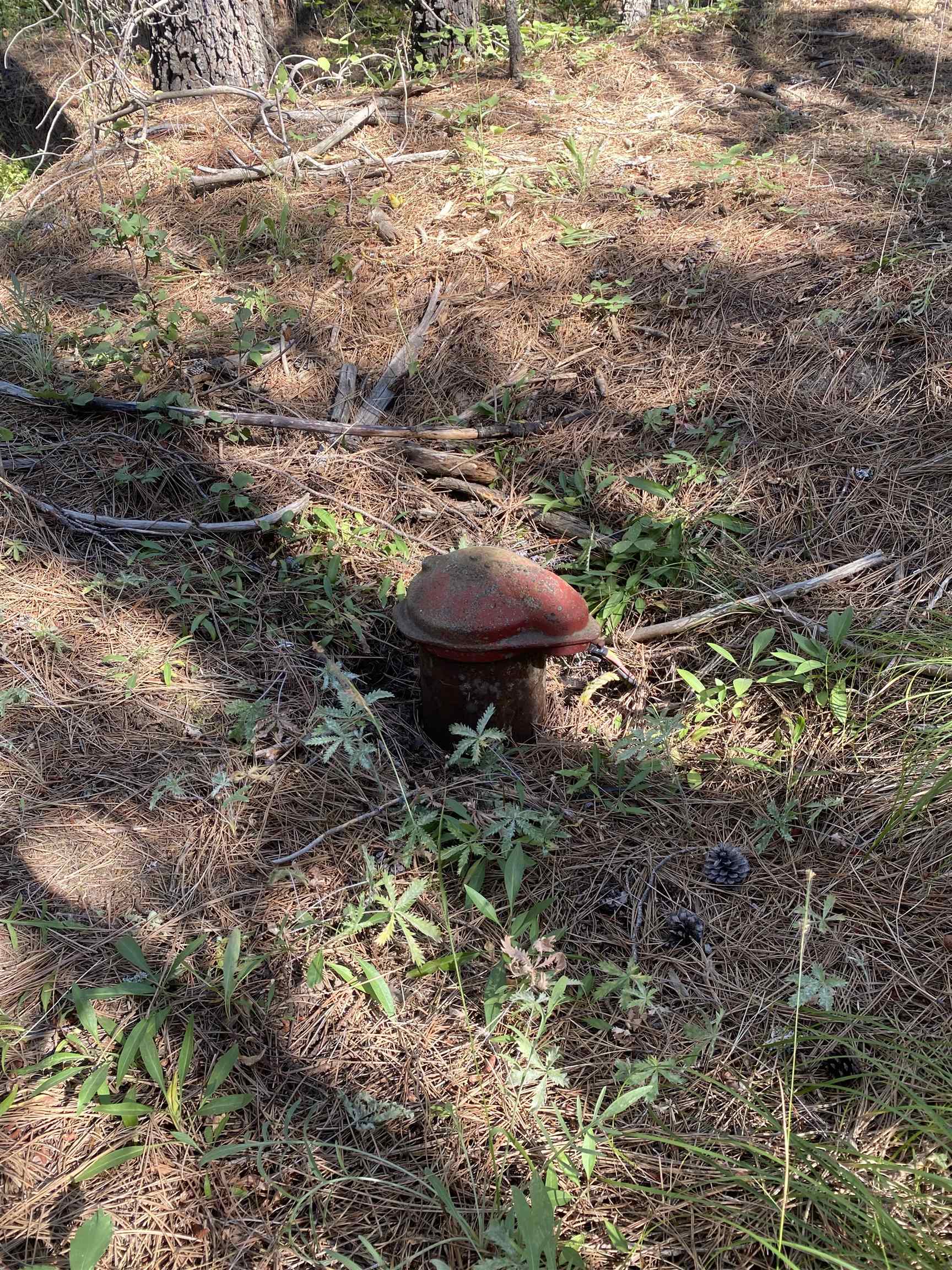 Elk-chattaroy East Rd Elk Wa 99009 Road Elk, WA 99009 - Photo 6 of 11