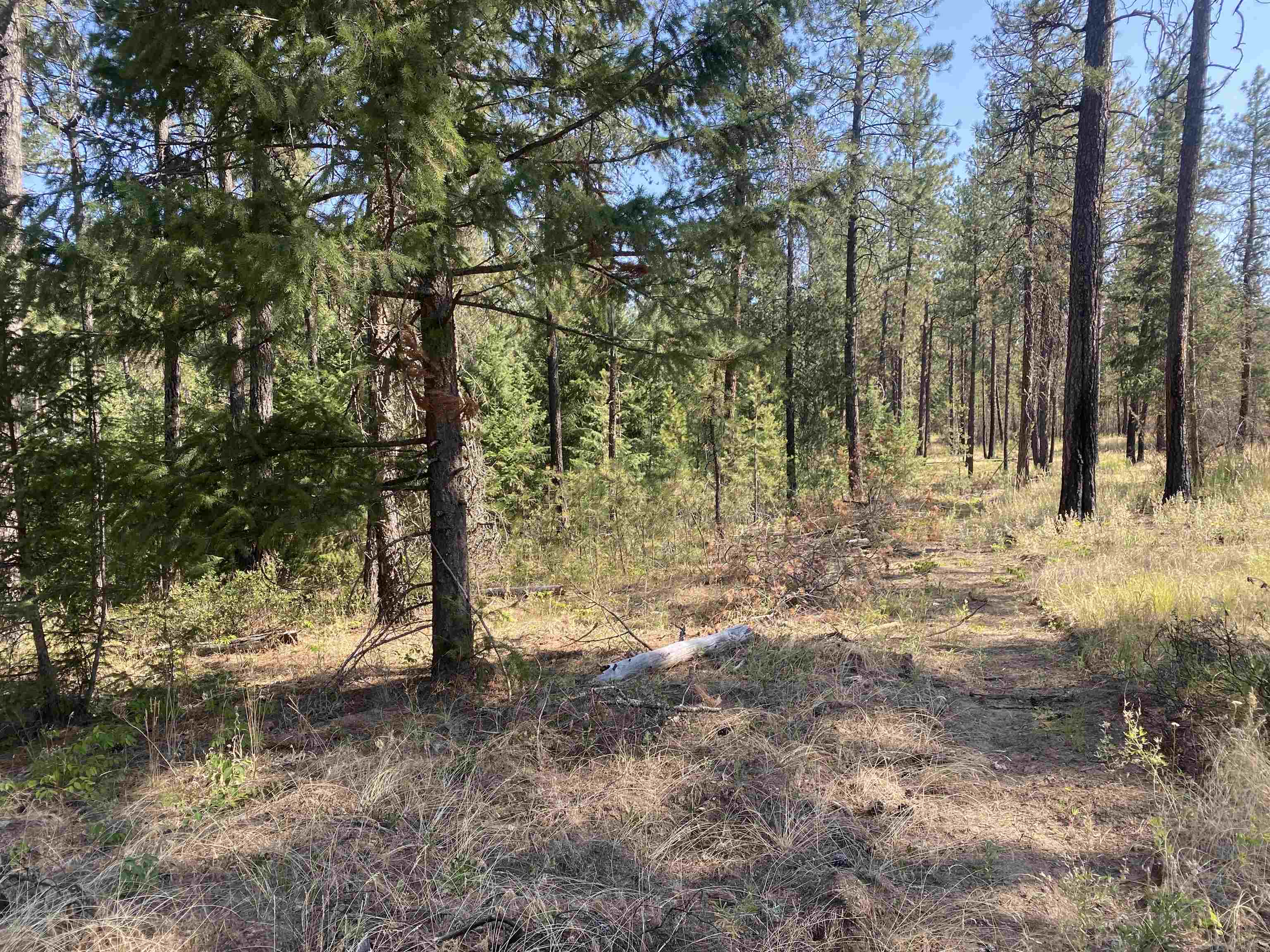 Elk-chattaroy East Rd Elk Wa 99009 Road Elk, WA 99009 - Photo 7 of 11