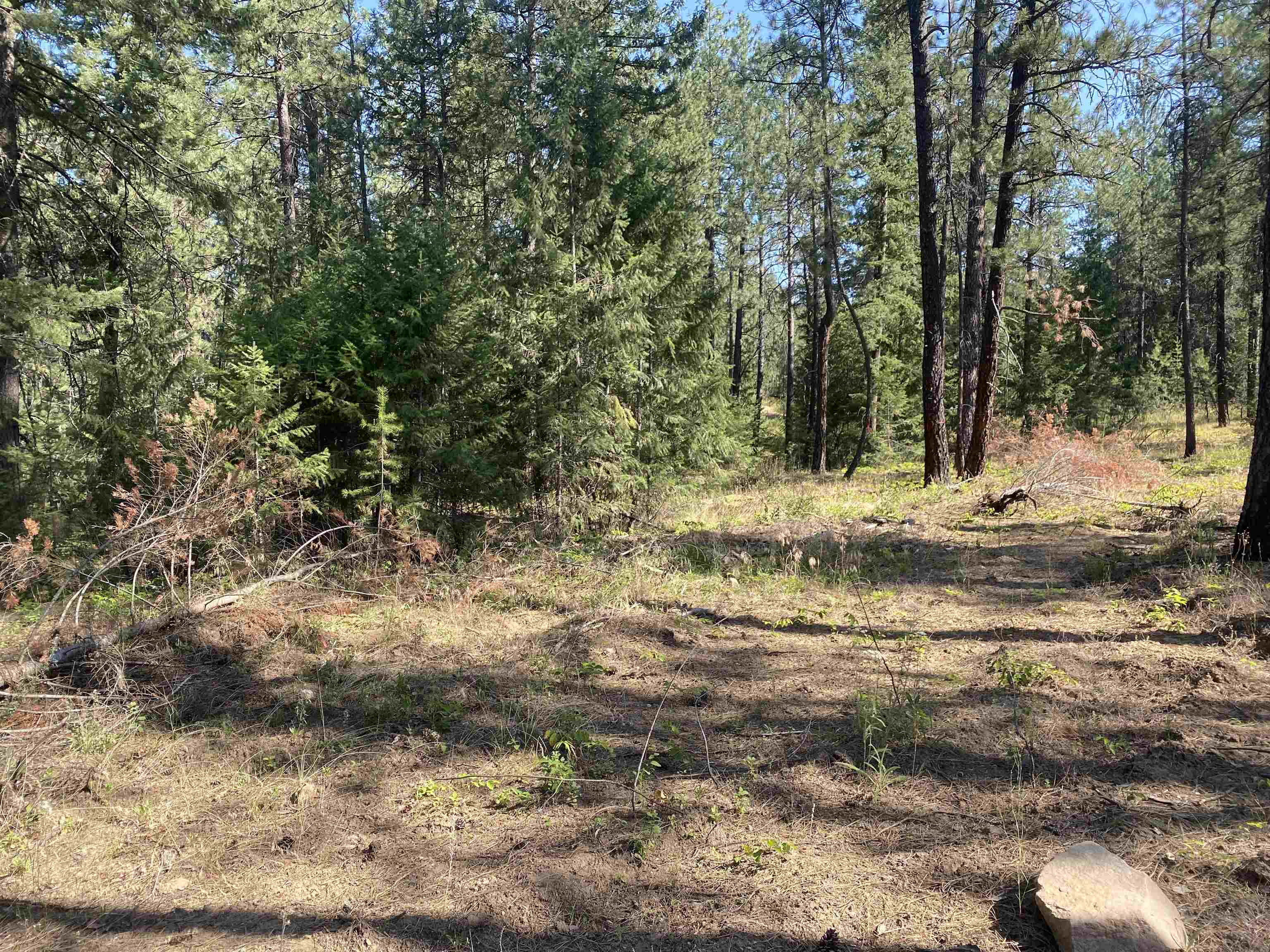 Elk-chattaroy East Rd Elk Wa 99009 Road Elk, WA 99009 - Photo 8 of 11