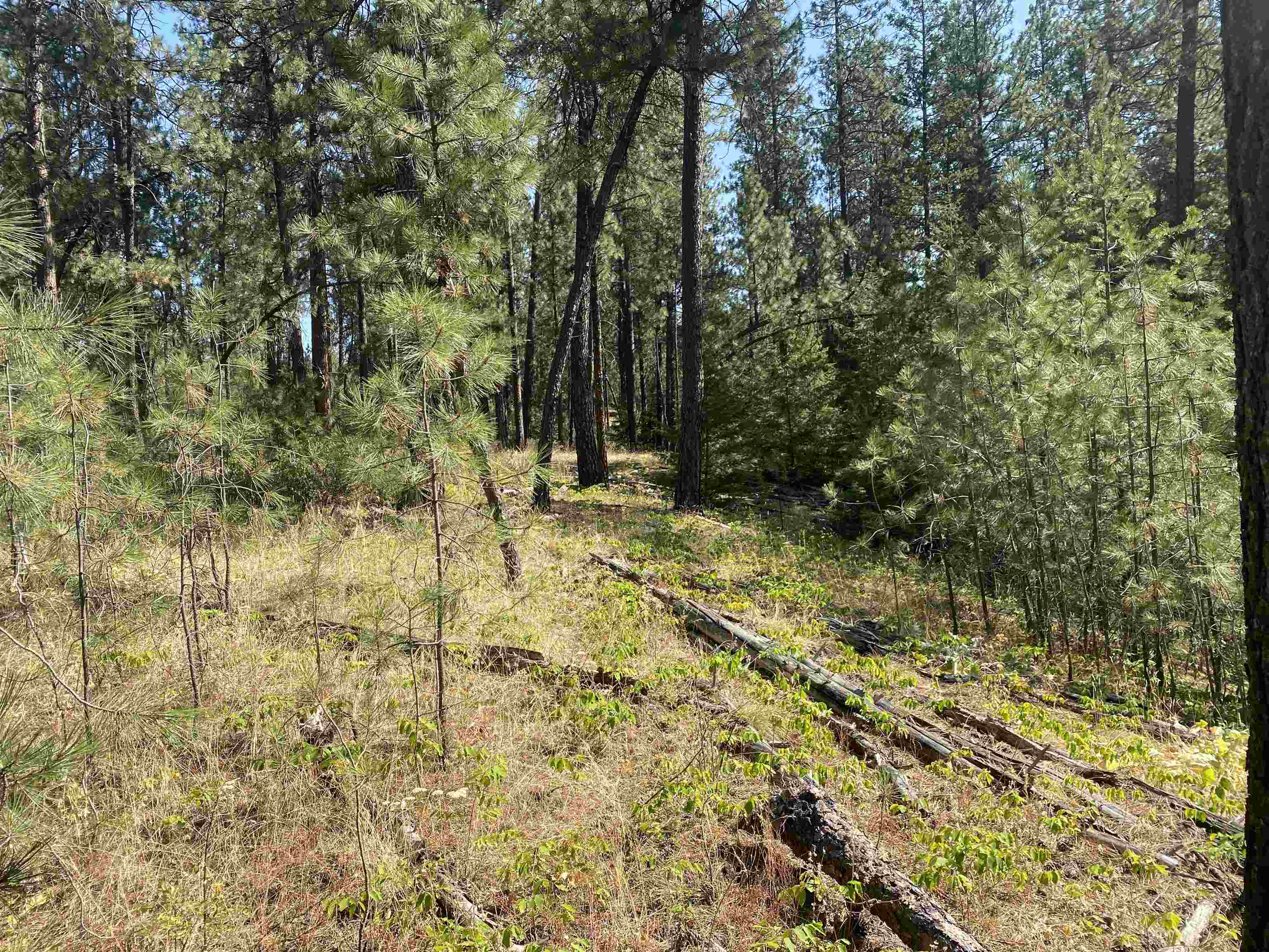 Elk-chattaroy East Rd Elk Wa 99009 Road Elk, WA 99009 - Photo 10 of 11