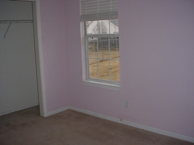 413 Raspberry Lane Fountain Inn, SC 29644 - Photo 4 of 5