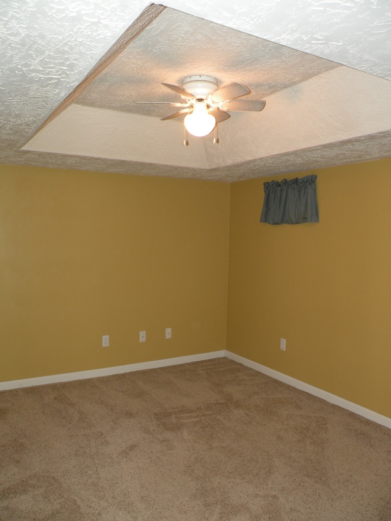 6234 Buckland Mill Road Roanoke, VA 24019 - Photo 40 of 53 4th guest bedroom