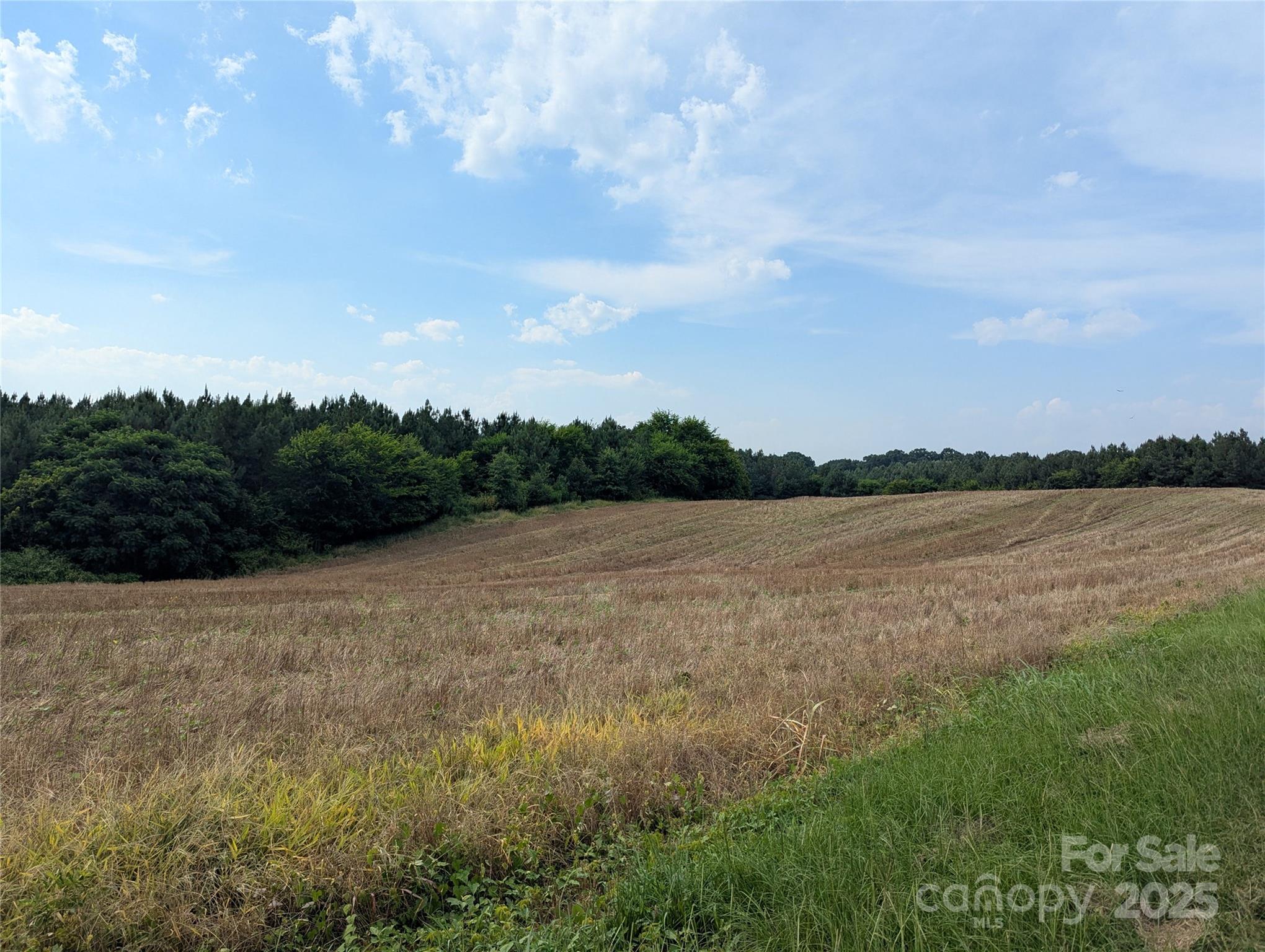 1455 Bonnie Ross Road Polkton, NC 28135 - Photo 8 of 18