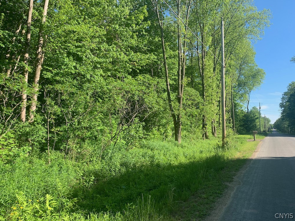 0 Albion Cross Road Pulaski, NY 13142 - Photo 1 of 1