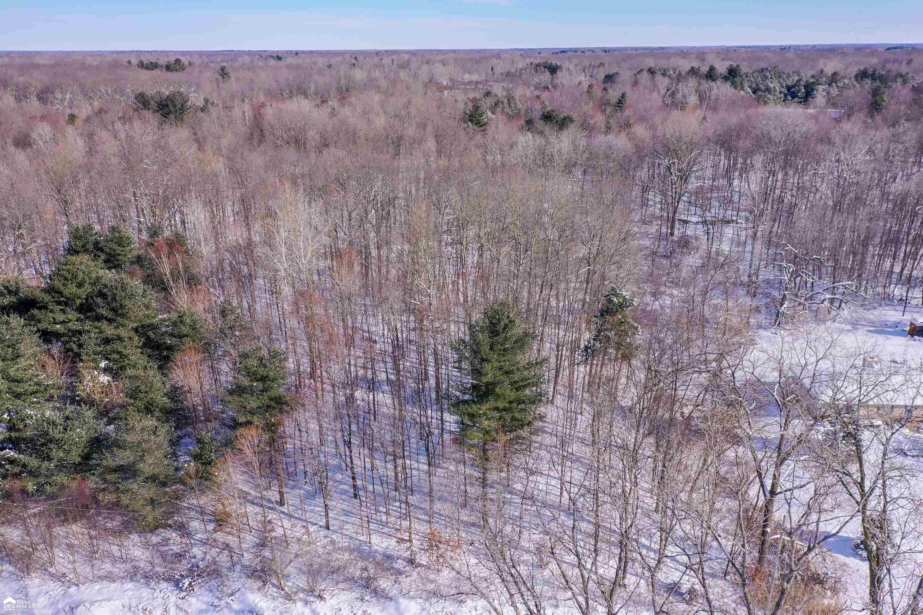 V/l River Grove Road Flushing, MI 48433 - Photo 1 of 10
