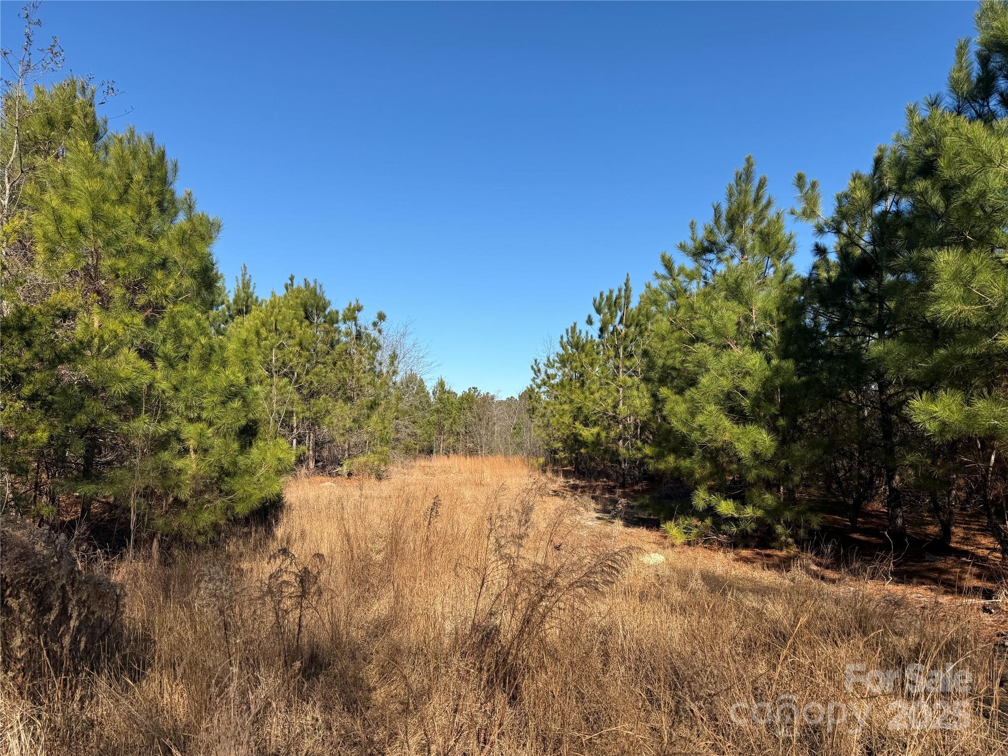 164 Haines Road Jackson Springs, NC 27281 - Photo 12 of 23 a view of a lake with a tree in the background