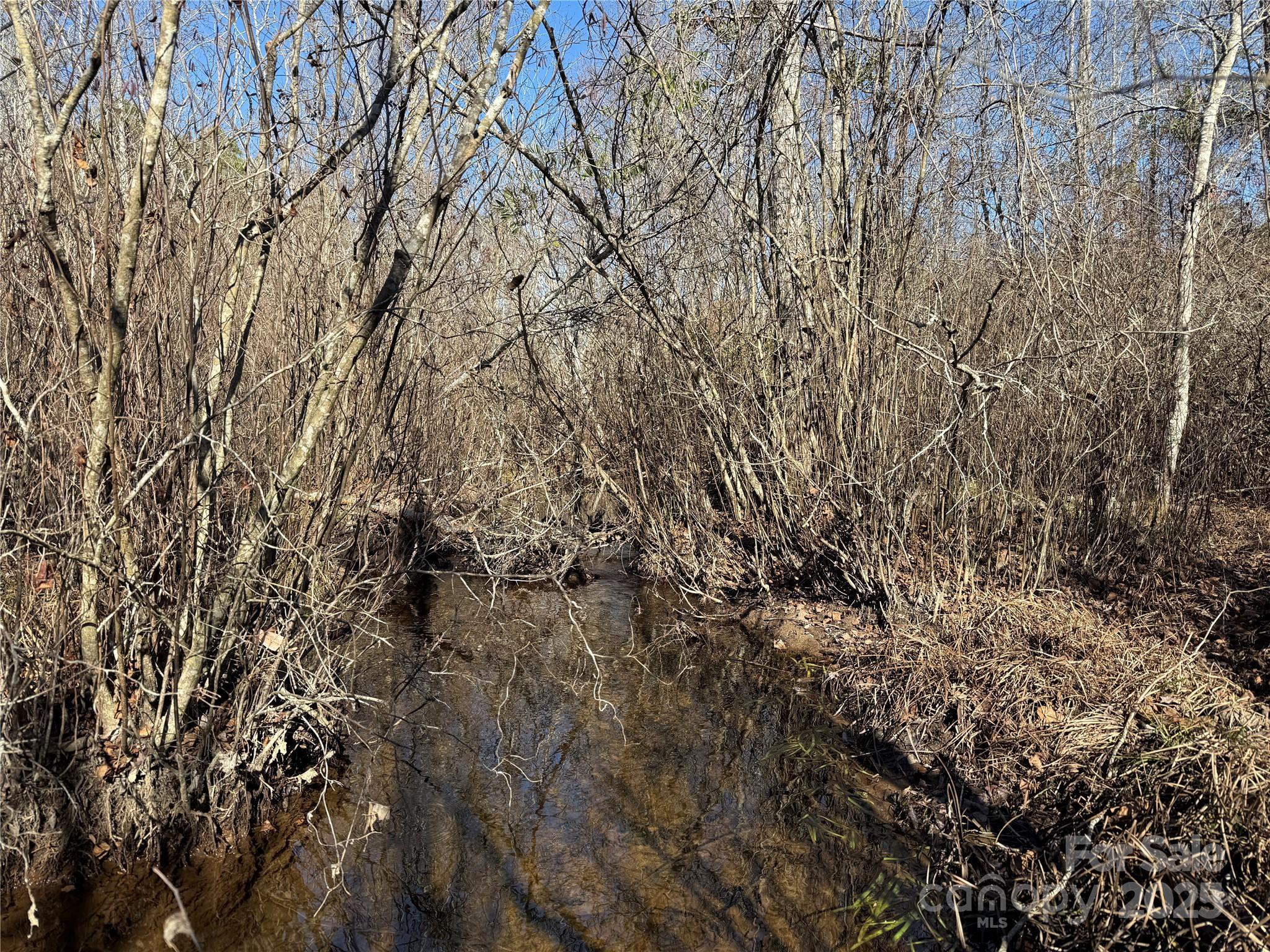 164 Haines Road Jackson Springs, NC 27281 - Photo 15 of 23 a view of a yard with a tree