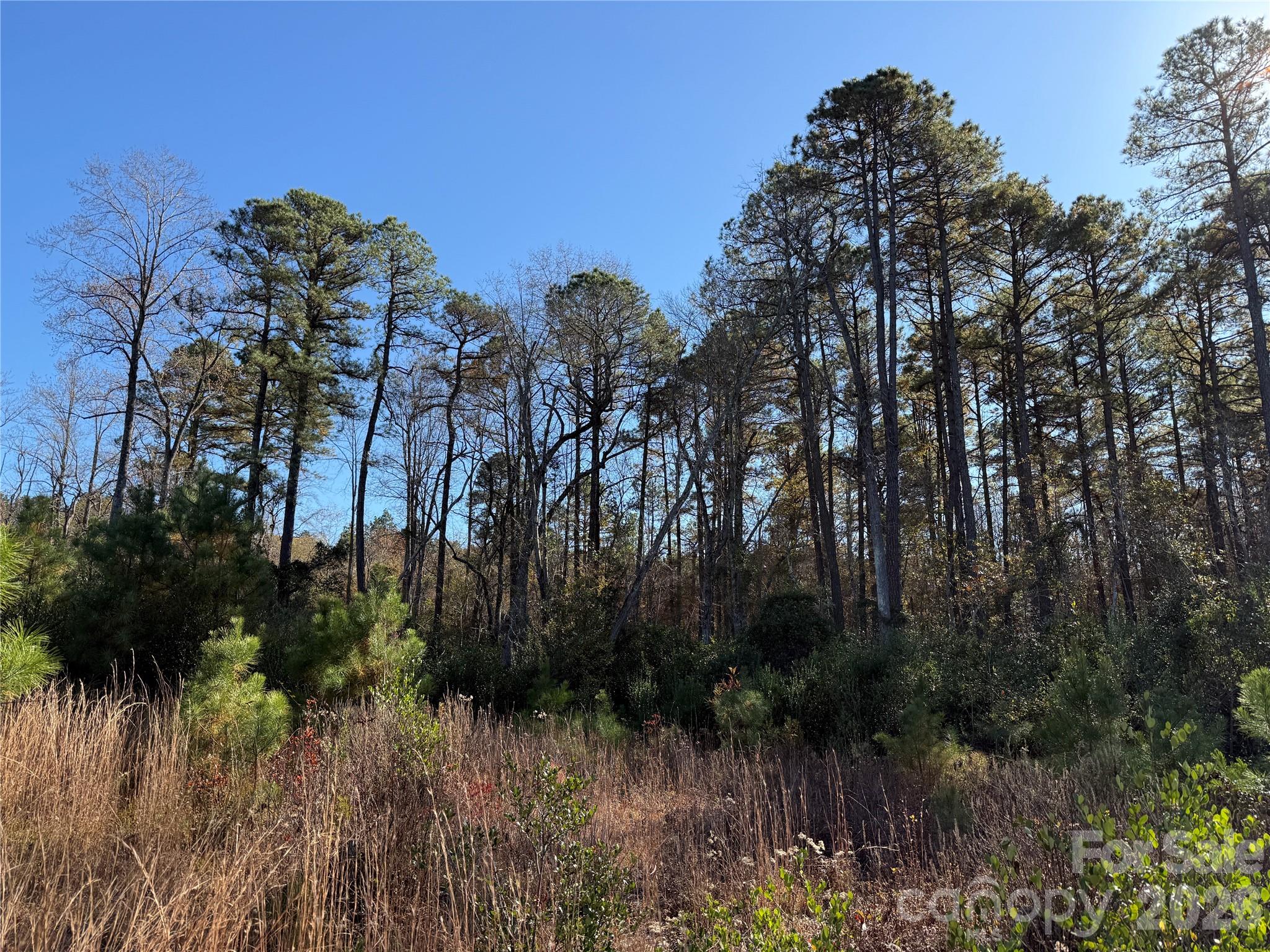 164 Haines Road Jackson Springs, NC 27281 - Photo 17 of 27 a view of a garden