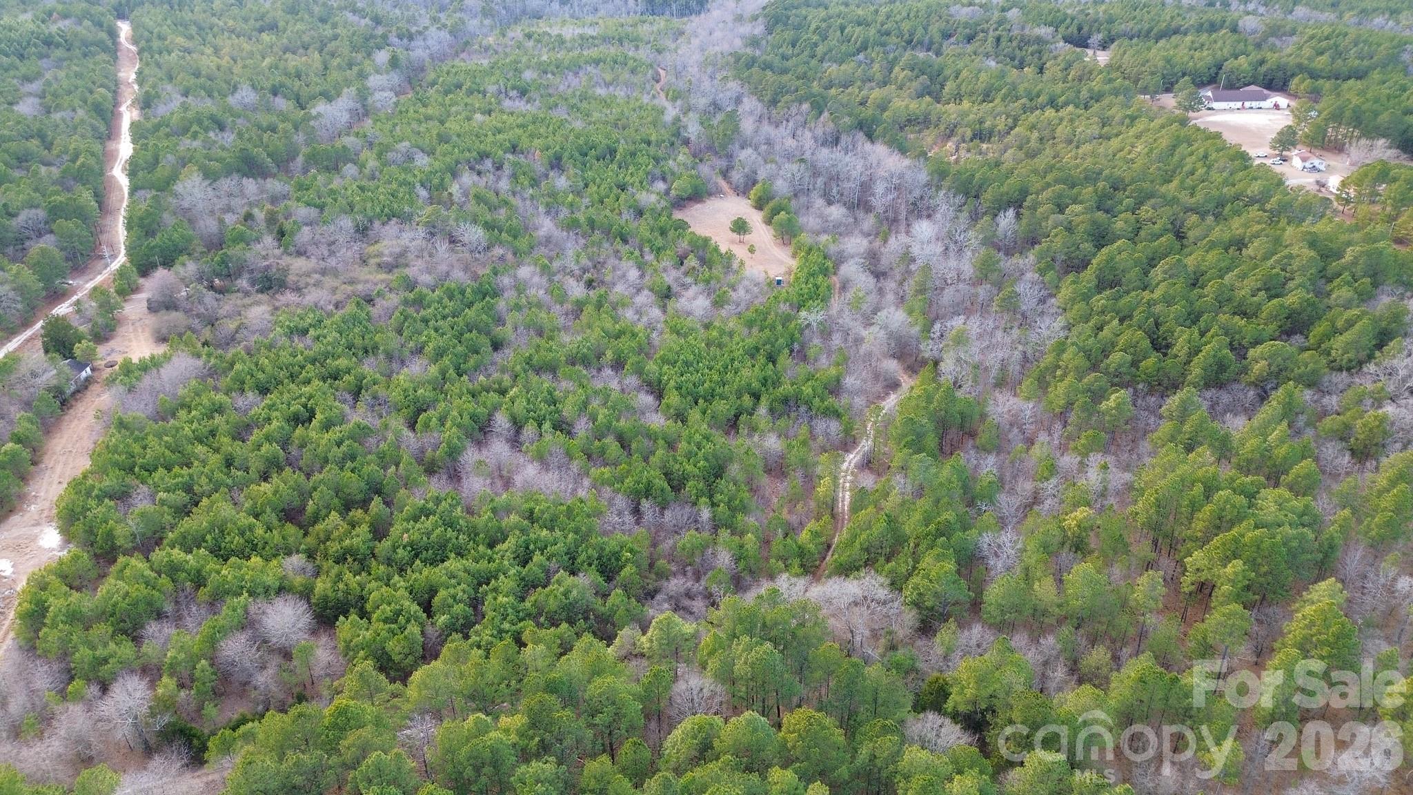 164 Haines Road Jackson Springs, NC 27281 - Photo 2 of 27 a view of a forest with a tree