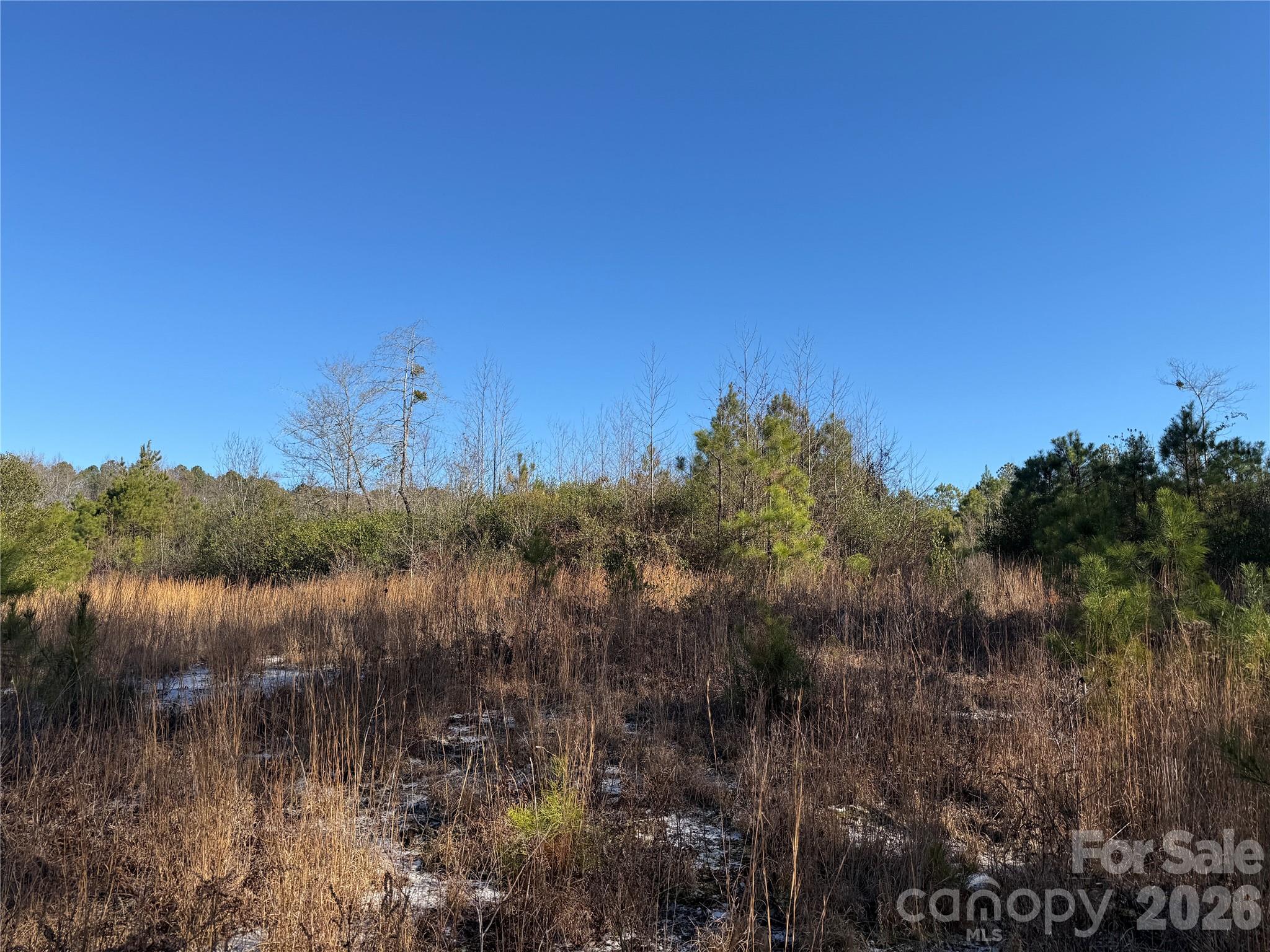 164 Haines Road Jackson Springs, NC 27281 - Photo 23 of 27 a view of lake with green space