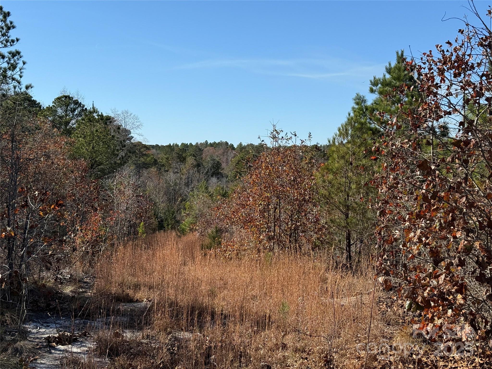164 Haines Road Jackson Springs, NC 27281 - Photo 7 of 23 a view of a lake in middle of forest