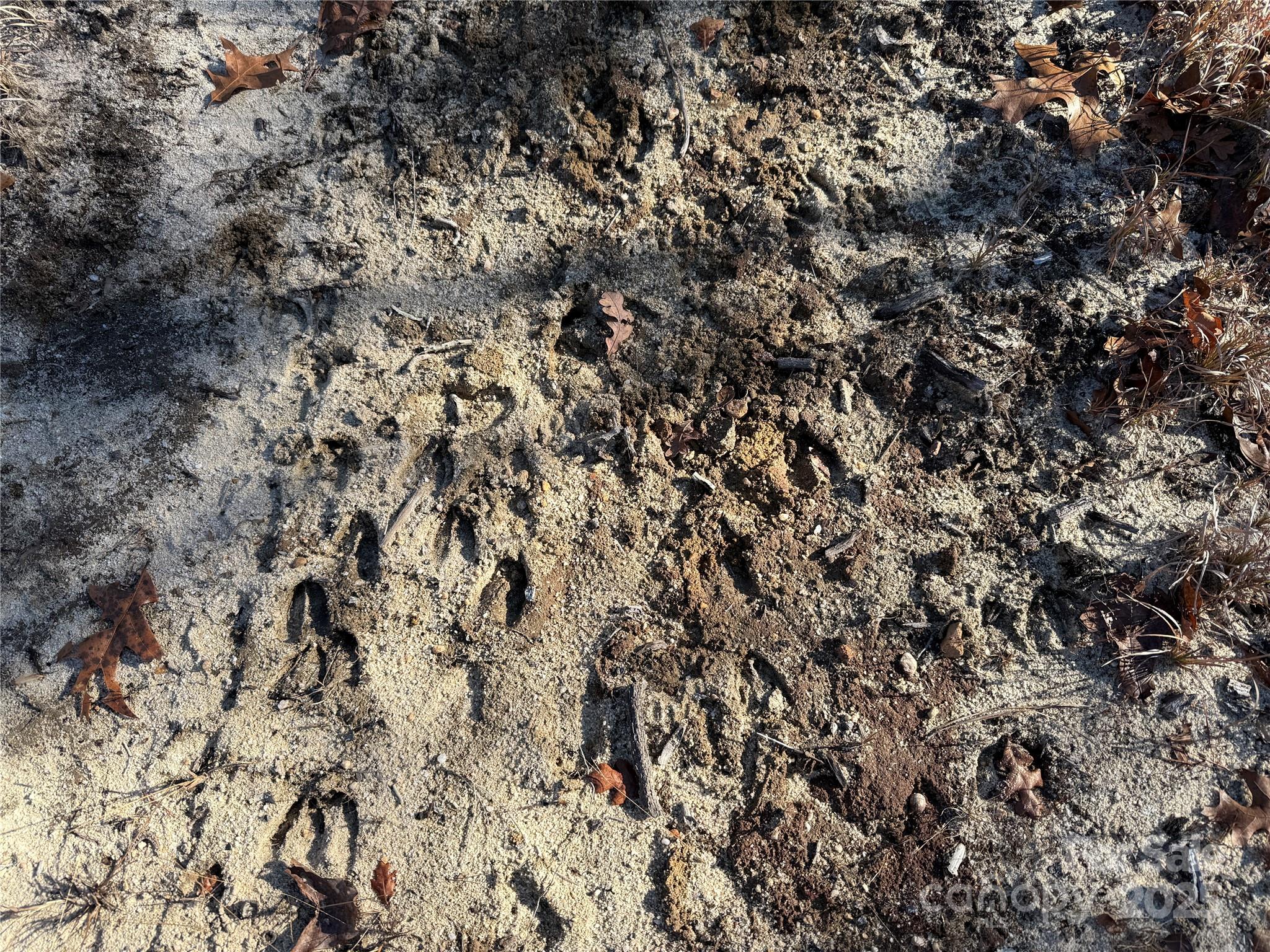 164 Haines Road Jackson Springs, NC 27281 - Photo 8 of 23 a view of a field