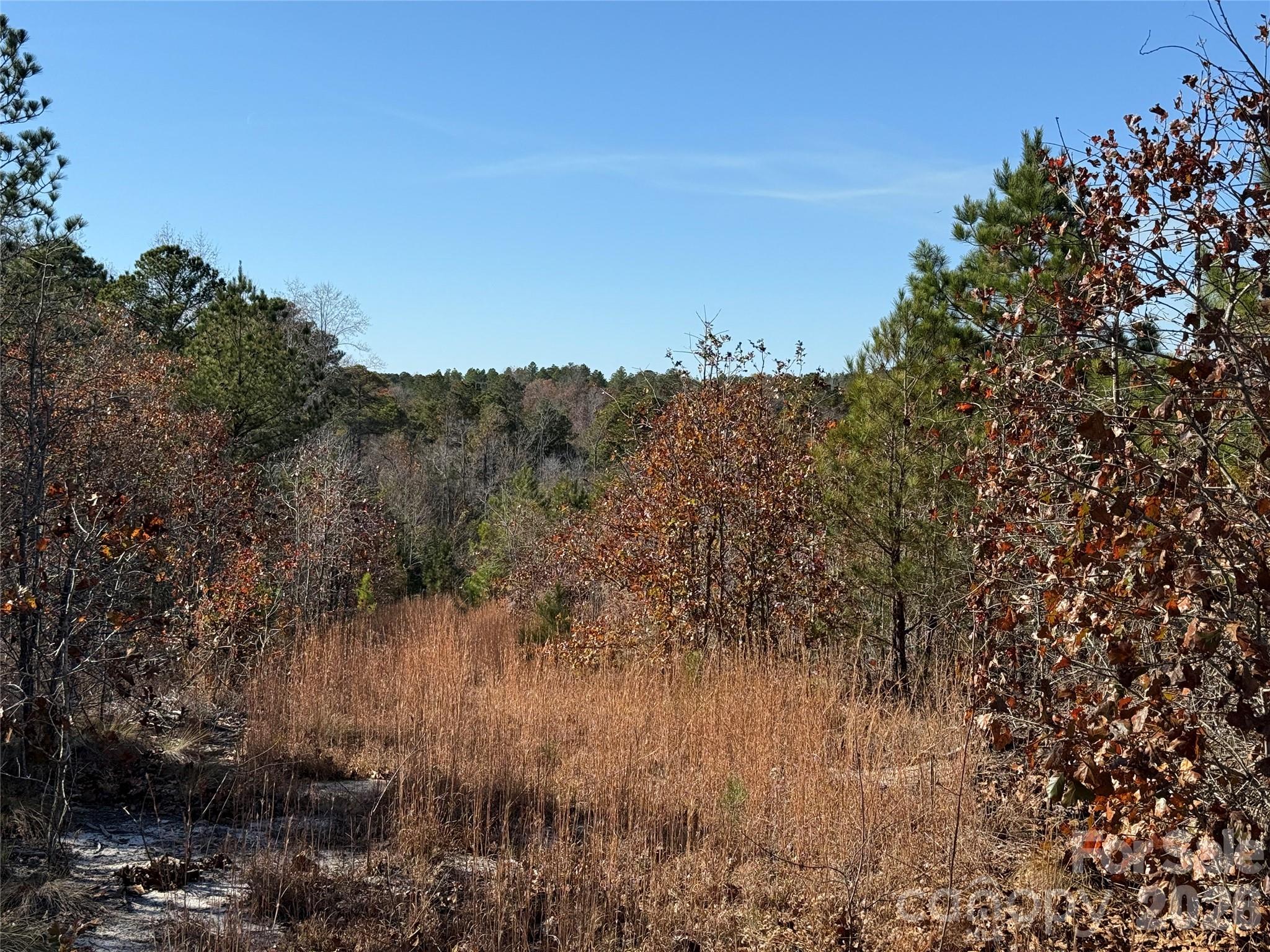 164 Haines Road Jackson Springs, NC 27281 - Photo 9 of 27 a view of a lake in middle of forest