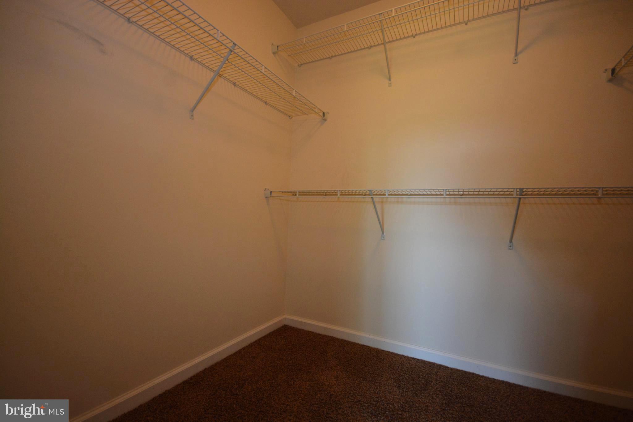 4975 Small Gains Way Frederick, MD 21703 - Photo 16 of 31 Walk-in Closet