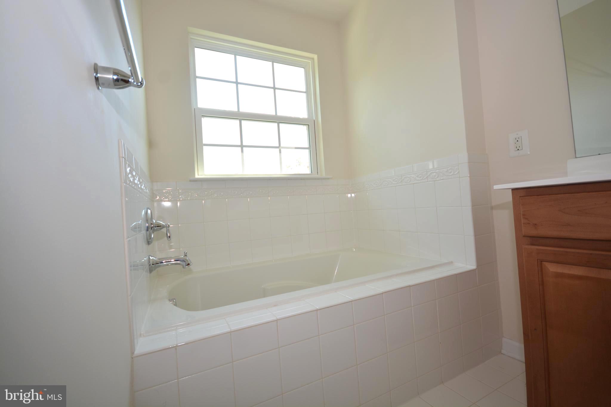 4975 Small Gains Way Frederick, MD 21703 - Photo 19 of 31 Primary Bath Soaking Tub