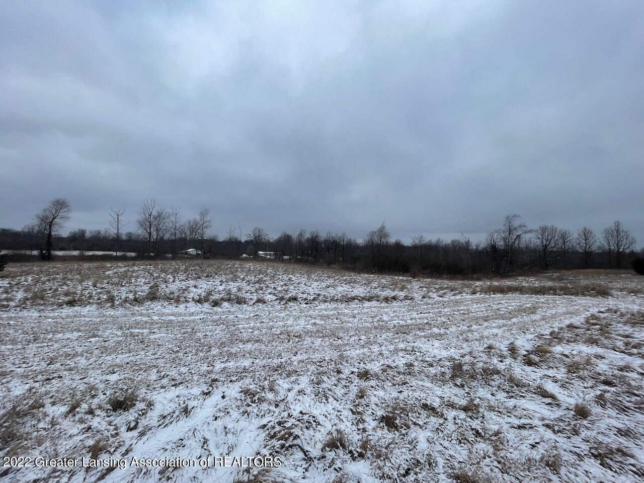 4820 Olmstead Road Ionia, MI 48846 - Photo 50 of 50 Front Yard