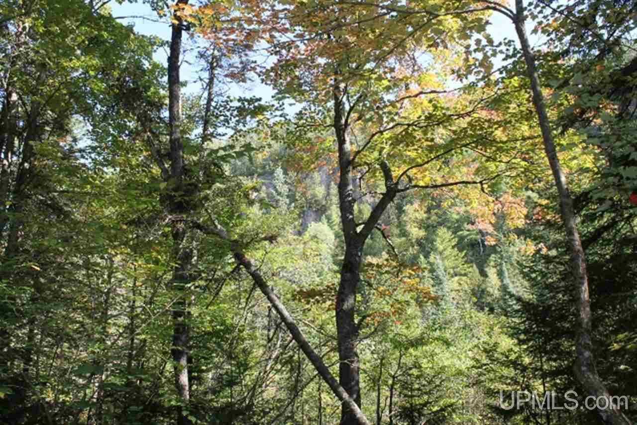 Tbd Tbd Co Road, Unit LAT 46 66342 LON 87 7989 Ishpeming, MI 49849 - Photo 7 of 14 Gallery Image 7