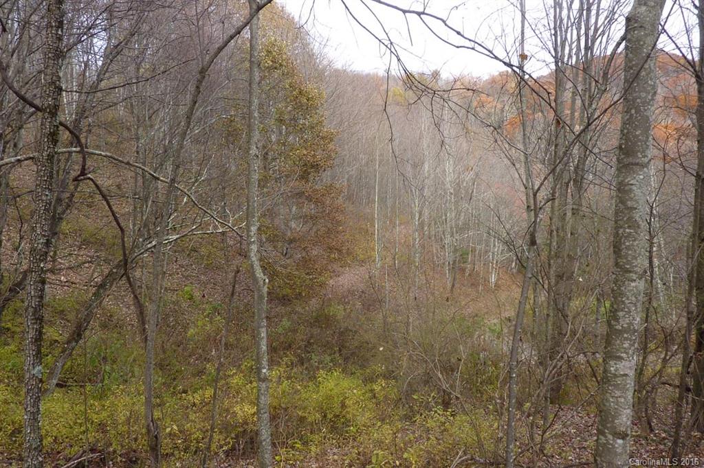0 Max Patch Road Hot Springs, NC 28743 - Photo 1 of 8 Gallery Image 1
