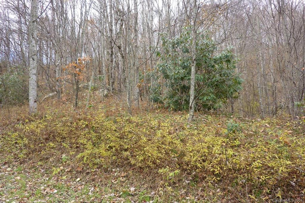 0 Max Patch Road Hot Springs, NC 28743 - Photo 2 of 8 Gallery Image 2
