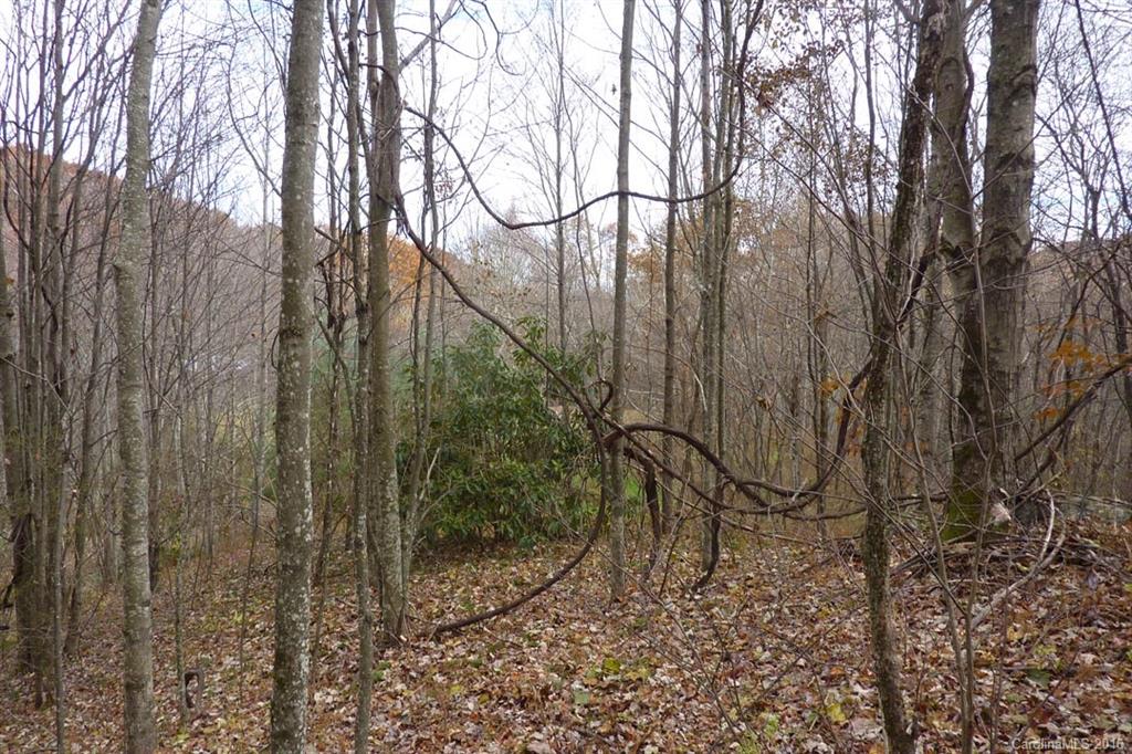 0 Max Patch Road Hot Springs, NC 28743 - Photo 4 of 8 Gallery Image 4