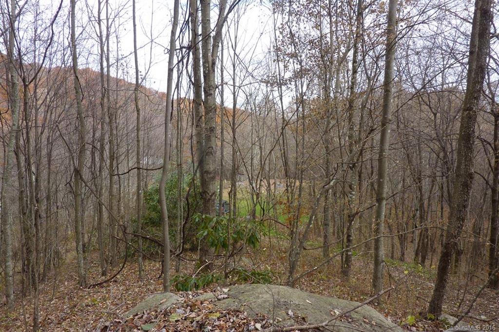 0 Max Patch Road Hot Springs, NC 28743 - Photo 6 of 8 Gallery Image 6