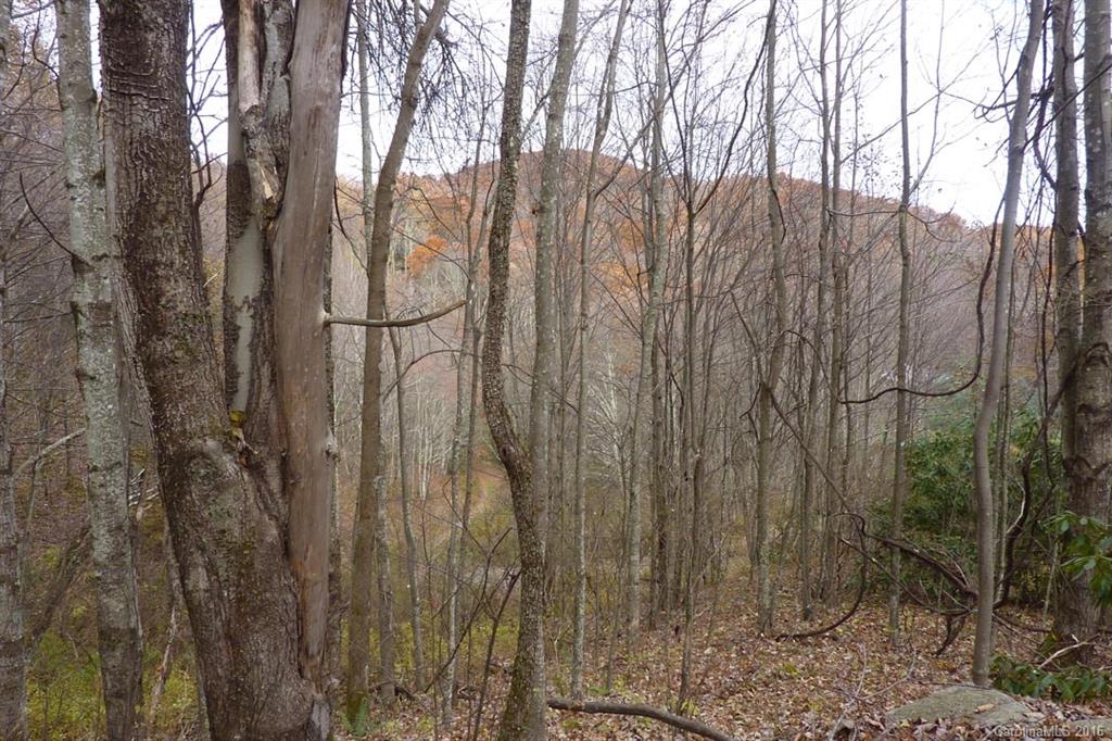 0 Max Patch Road Hot Springs, NC 28743 - Photo 7 of 8 Gallery Image 7