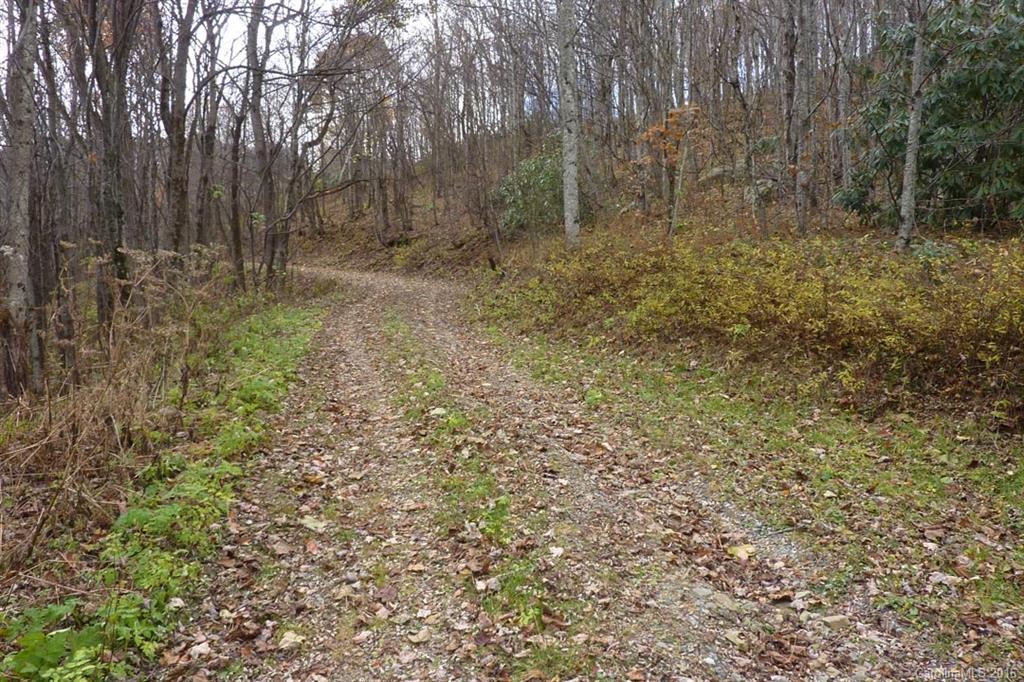 0 Max Patch Road Hot Springs, NC 28743 - Photo 8 of 8 Gallery Image 8